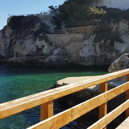 Menorca Biniforcat 44 *